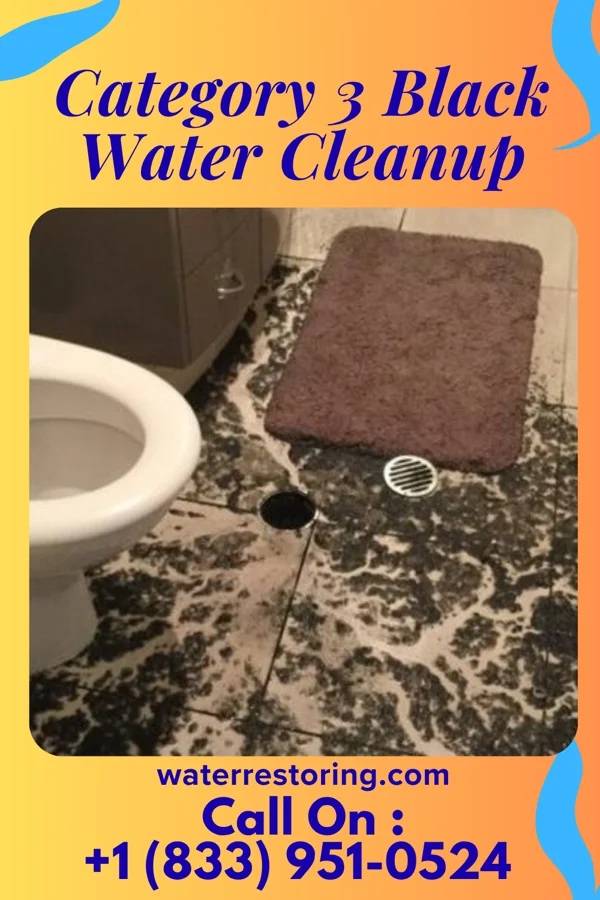 Category 3 Black Water Cleanup in New Village, NJ