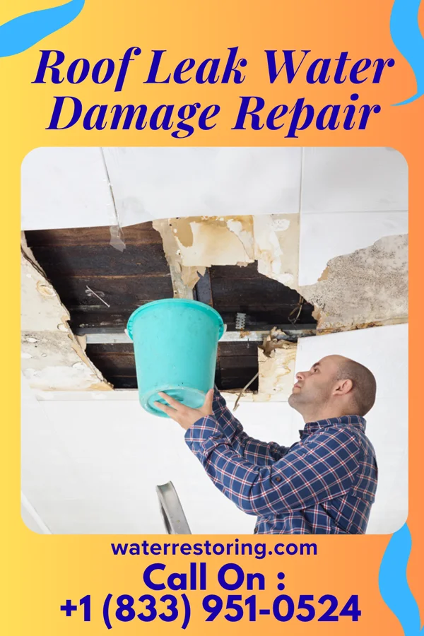 Roof Leak Water Damage Repair in New Village, NJ