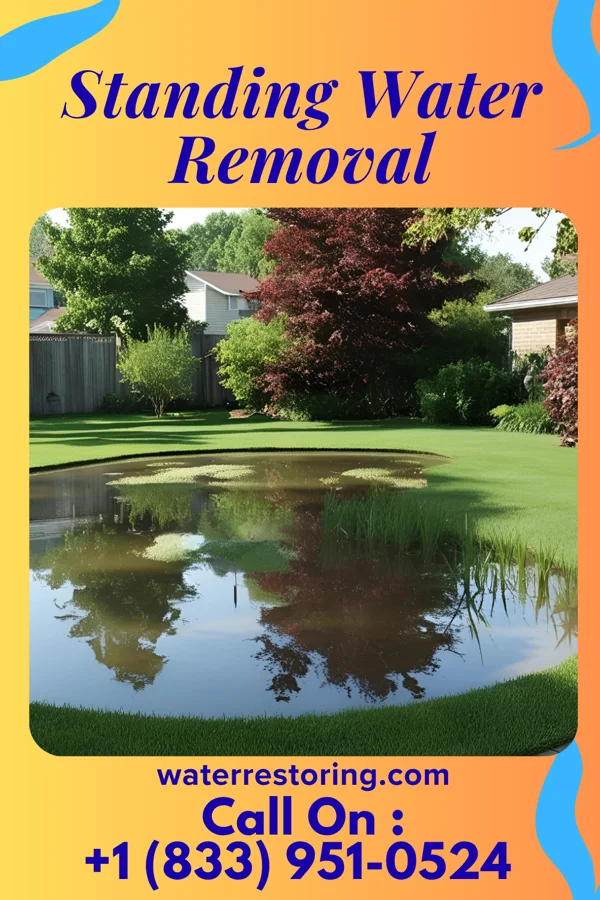 Standing Water Removal in New Village, NJ